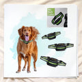 Automatic Anti-Barking Dog Collar Waterproof Anti-Misjudgment 7-Speed Adjustable Low-Power Comfortable Rechargeable Pet Trainer