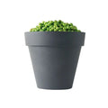 Colorful Planter Wholesale Injection Bonsai Plant Plastic Pot with Saucer for Bedroom Study Flower Stand Yard
