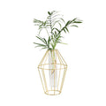 Nordic Pastoral Style Wrought Iron Vase Hydroponic Flower Geometric Design Powder Coated for Home & Garden Use