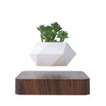 HCNT New Design Electric Powered Magnetic Floating Levitating Flower Pot for Bonsai Plants Home & Garden Use