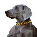 Premium USB Rechargeable LED Personalized Nylon Fancy Dog Collar with Macrame Design 4 Modes Light Necklace for Dogs
