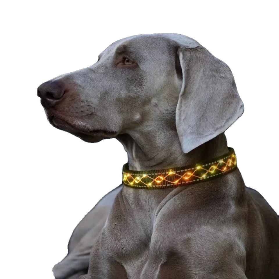 Premium USB Rechargeable LED Personalized Nylon Fancy Dog Collar with Macrame Design 4 Modes Light Necklace for Dogs