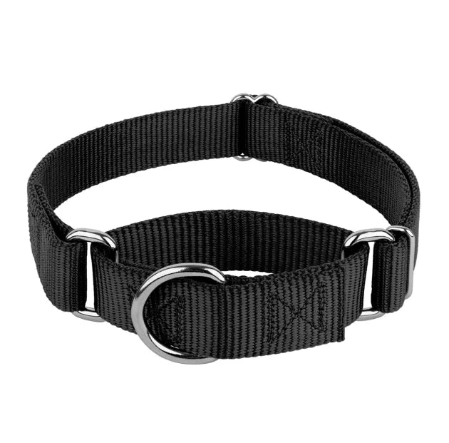 Custom Polyester Webbing Dog Pet Collar with Metal Buckle