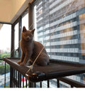 Space-Saving Safety Cat Perch Window Mounted Mesh Hammock Sun-Seat Style Kitty Bed for Cats for Resting & Sunbathing