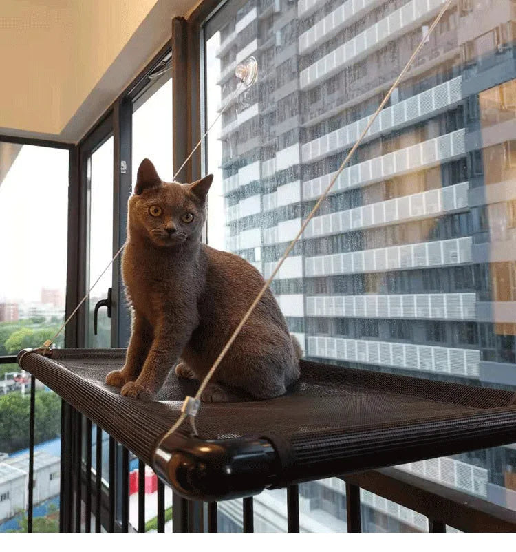 Space-Saving Safety Cat Perch Window Mounted Mesh Hammock Sun-Seat Style Kitty Bed for Cats for Resting & Sunbathing