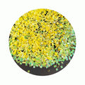 Wholesale Yellow Bingsu Soft Polymer Bars Miniature Sparkle 1kg All-Level Clay Tiles Perfect for Family Bonding