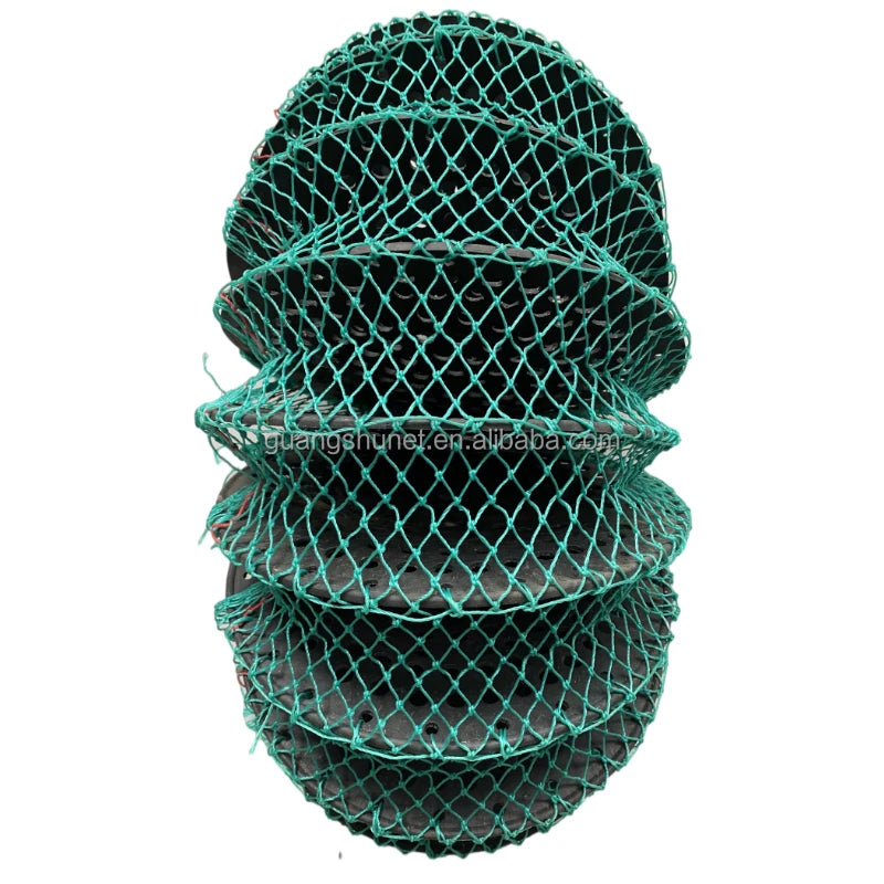oyster Lanterns Net Scallops Lanterns Net Red De Linternas De Vieiras