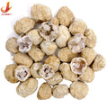 Crystals Wholesale Bulk Natural Quartz Semi-precious Crafts White Druzy Rough Geode Stone and Crystal Geode for Healing