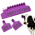 6*7cm Laser Typing Animal Identification Card Calf Cattle Ear Label Tags Customizable LOGO Animals Cattle Cow Ear Tags