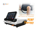 Professional Equine PEMF Therapy Device 24700Gauss 5 Tesla for Horse Body Lameness Recovery