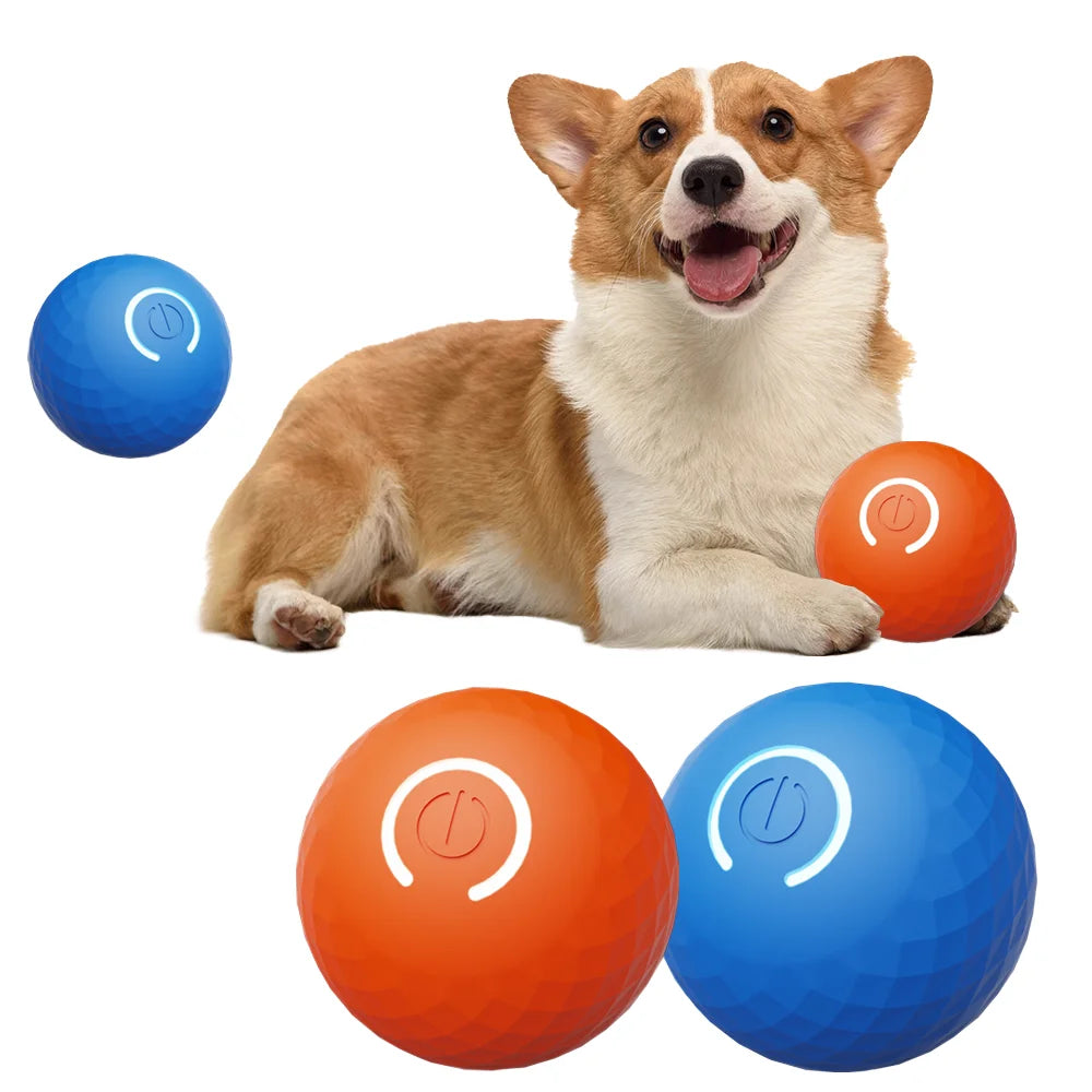 Interactive Dog Training Toy Durable TPR Rubber Deboreting Fruit Vegetable Shaping Eco-Friendly Play for Vocalizing Biting Gift