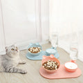 Washable Pet Protection Neck Double Bowl Automatic Water Feeder Moisture-proof Removable Pet Feeder