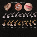 Hoop Earrings CZ Labret Lip Ear Piercing Jewelry 16G Stainless Steel Cartilage Tragus Stud Earrings for Men Women Helix Barbell