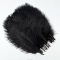 Wholesale 10-12 Inch/ 25-30 cm Ostrich Feathers for Craftsdyed Ostrich Drabs Inventory