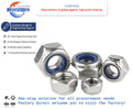 Nuts and Bolts Steel Hex Head Nylon Insert Lock Nut DIN 985 with 304 Stainless Plain Finish Low Price for Building Hex Nut