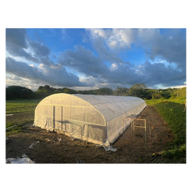 Stocked 10x50m Polytunnel High Tunnel Hoop House Ventilation Greenhouse for Sale