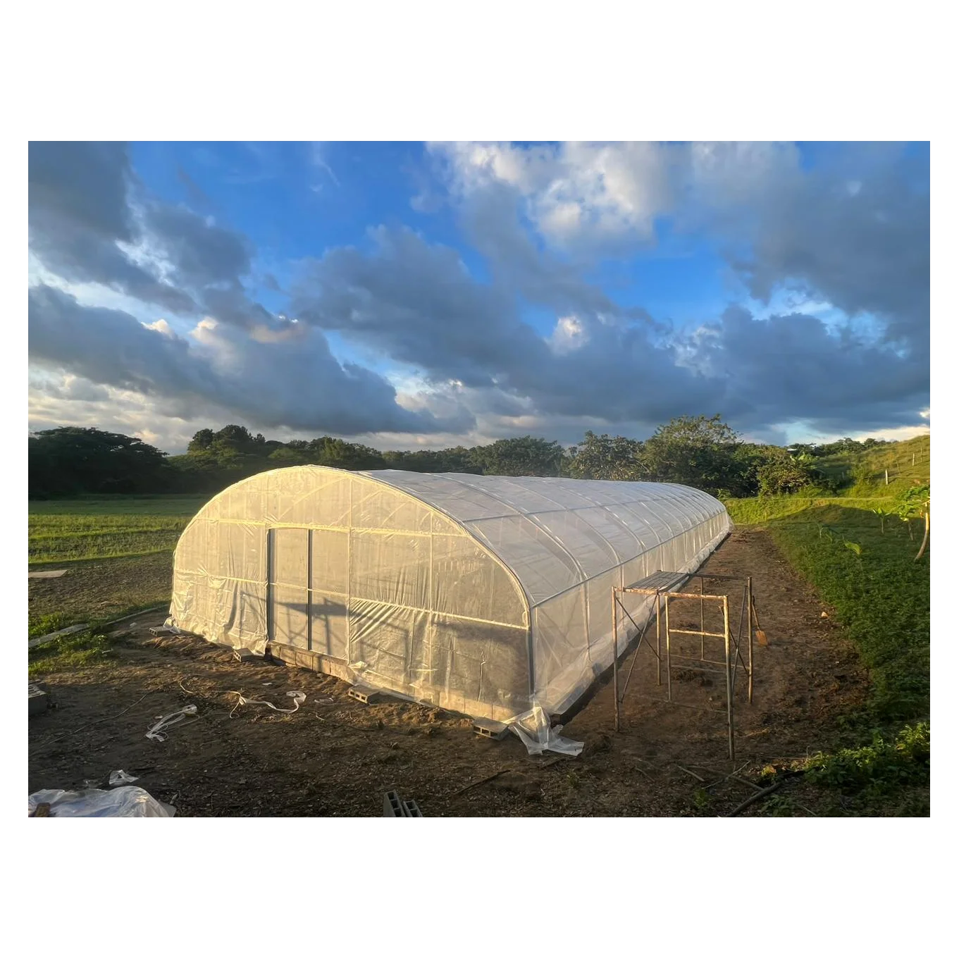 Stocked 10x50m Polytunnel High Tunnel Hoop House Ventilation Greenhouse for Sale