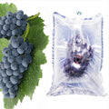 Newly Shipping Protection Foam Packaging Inflatable Fruit Protective With Airvent Inflatable Air Buffer Plastic Pouches