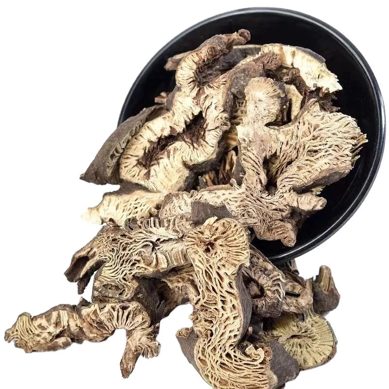 Sheng Ma Not Extract Dried Cimicifuga Heracleifolia RHIZOME Slices for Sale
