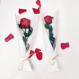 New Design Valentine's Day Gift Beautiful Real Natural Preserved Square Handmade Single Rose