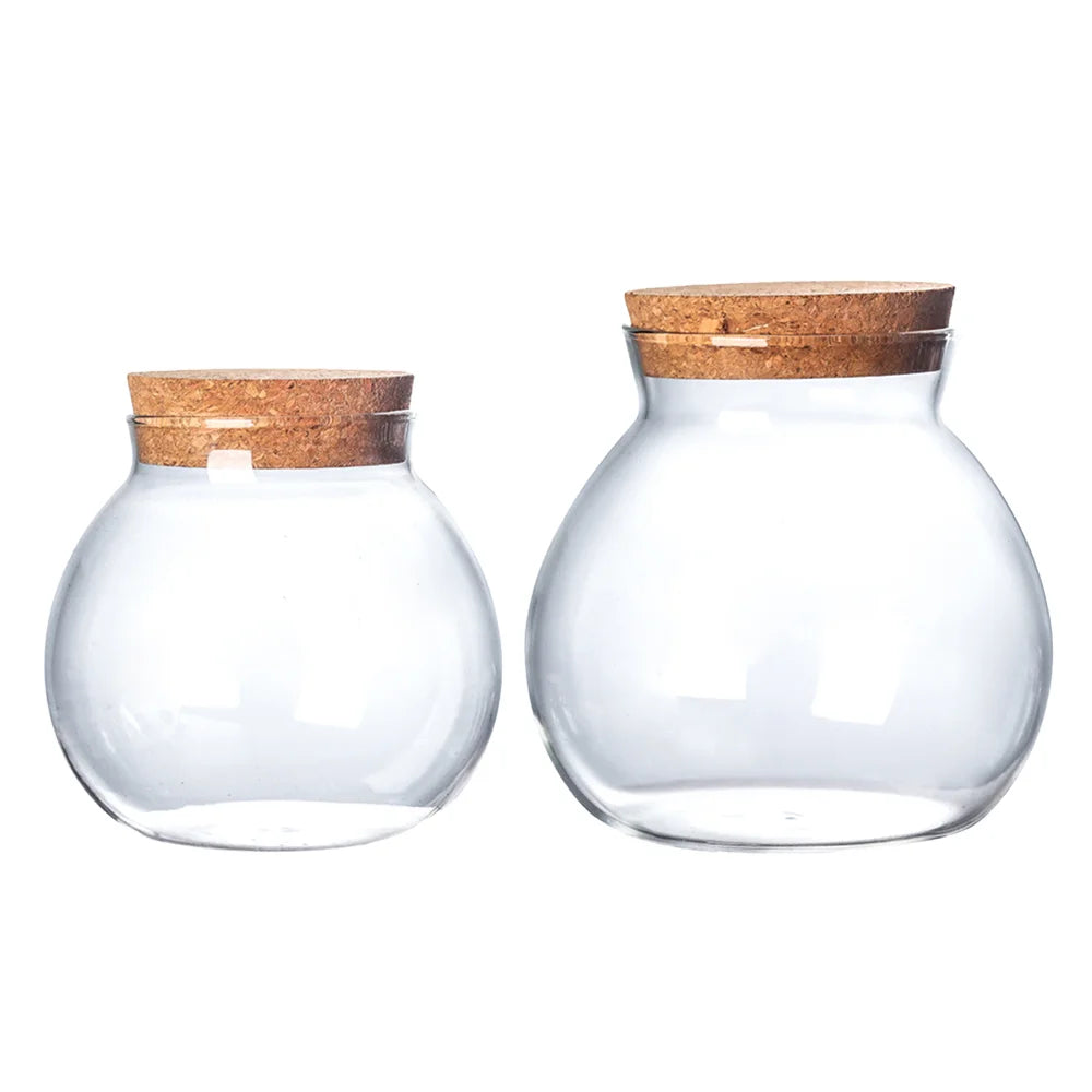 JUXINDA Wholesale High Borosilicate Glass Storage Jar with Cork Lid Airtight 500-1000ml Kitchen Dried Fruit Food Grains Storage