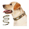 OEM Waterproof Training Nylon Dog Collar and Leash Set Heavy Duty Adjustable Nylon Webbing Reflective Tactical Large Dog Collar