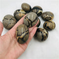 Wholesale High-quality Natural Healing Crystal Stone  Polished Septarium Turtle Palm Stone for  Decoration