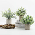 C-AGP002 Wholesale Artificial Plastic Succulent Green Plants Potted Fake Plants for Home Wedding Decoration