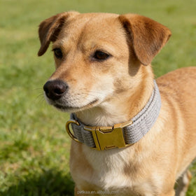 High End Light Luxury Corduroy Gray Collar Pet Dog Accessories in Stock Fast Delivery Matching Leash Harness Metal Buckle custom