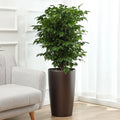 Brice Gardening Self Watering Plant Pots with Water Level Indicator Modern Home & Garden Use Large Plastic Flower Pots