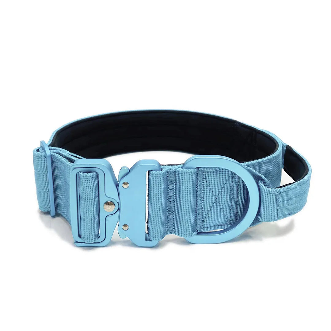 2025 New Design 4cm Blue Nylon Tactical Dog Collar Set With Neoprene Soft Lining for Field Training