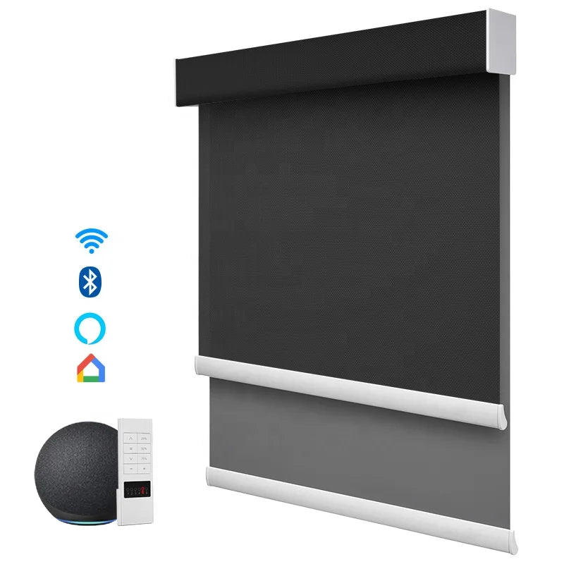 ZSTARR Double Black Day and Night Dual Blackout and Transparent Smart Motorized Roller Shades Blinds for Window Hotel Decoration