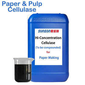 Cellulase for Pulp Pretreatment: a High-Activity Enzyme for Energy Savings Fiber Modification and Paper Strength Enhancement