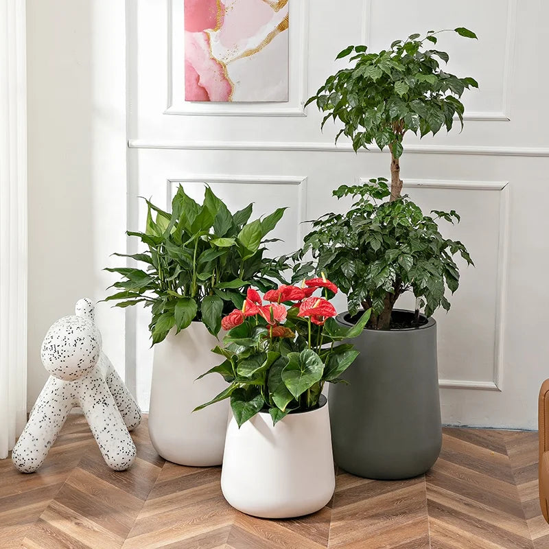 2023 New Design Round Nordic Style Home Garden Automatic Self Watering Plastic Planter Box Flower Pot Bonsai Pot