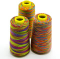 40S/2 High Tenacity Rainbow Color Polyester Embroidery Nylon Sewing Thread