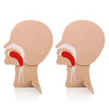 XFT XFT-E0002 CPR Training Head Section Model Manikin with Head Tilt/Chin Lift Demonstration Teaching Equipment