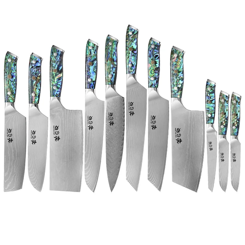 Factory Low Price Kitchen Knife Set VG10 Damascus Steel Meat Slicer Premium Chef Knife with Exquisite Shell Handle