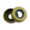 DMHUI AE0330 TBV Brown NBR Material Oil Seal 11.11*25.4*9.52mm China Origin 1901007 HS Code 84879000 Box Packaging