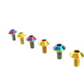 SDPSI DCT (2) M6x12 M6x15 M6x18 M6x20 M8x25 GR5 TC4 Titanium Umbrella Head Motorcycle Decorative Bolt