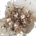 Cang Er Gen Wholesale Pure Natural Dried Xanthium Sibiricum Roots for Sale
