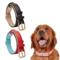 New Fashion Cowhide Leather Pet Collar for Small Medium Large Dogs Adjustable Soft Leather Padded Puppy Collar with Alloy Buckle