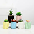 Multicolor Bonsai Flower Pots Garden Ceramic Succulent Plant Planter Pot for Home Decor Indoor
