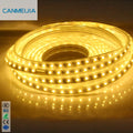 SMD 5730 Double Row 120chips/m Flexible Tape Color Changing Led Lights Stripe Cinta De Luces Led 5730 Led Strip/Led Strip