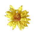 Chinese Natural Growth Dried Big Whole Beautiful Blooming Yellow Lotus Flowers Tea Skin Care Herb Clear Bag Bulk Organic Garden