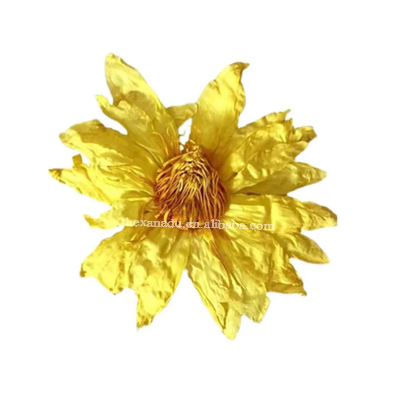 Chinese Natural Growth Dried Big Whole Beautiful Blooming Yellow Lotus Flowers Tea Skin Care Herb Clear Bag Bulk Organic Garden