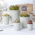 Garden Supplies Round High-waisted Succulent Flowerpot Frosted Plastic Black Fleshy Flower Pot Vientiane Basin
