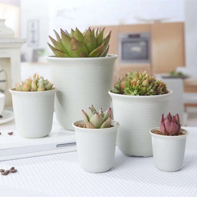 Garden Supplies Round High-waisted Succulent Flowerpot Frosted Plastic Black Fleshy Flower Pot Vientiane Basin