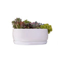 Modern White Mini Cylindrical Ceramic Flower Pot Drainage Hole New Year's Decorative Set Tray Indoor Outdoor Nursery Garden