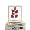 Natural Wall Art 3d Shadow Box Frame 12x16 Inches Specimen Box Frame