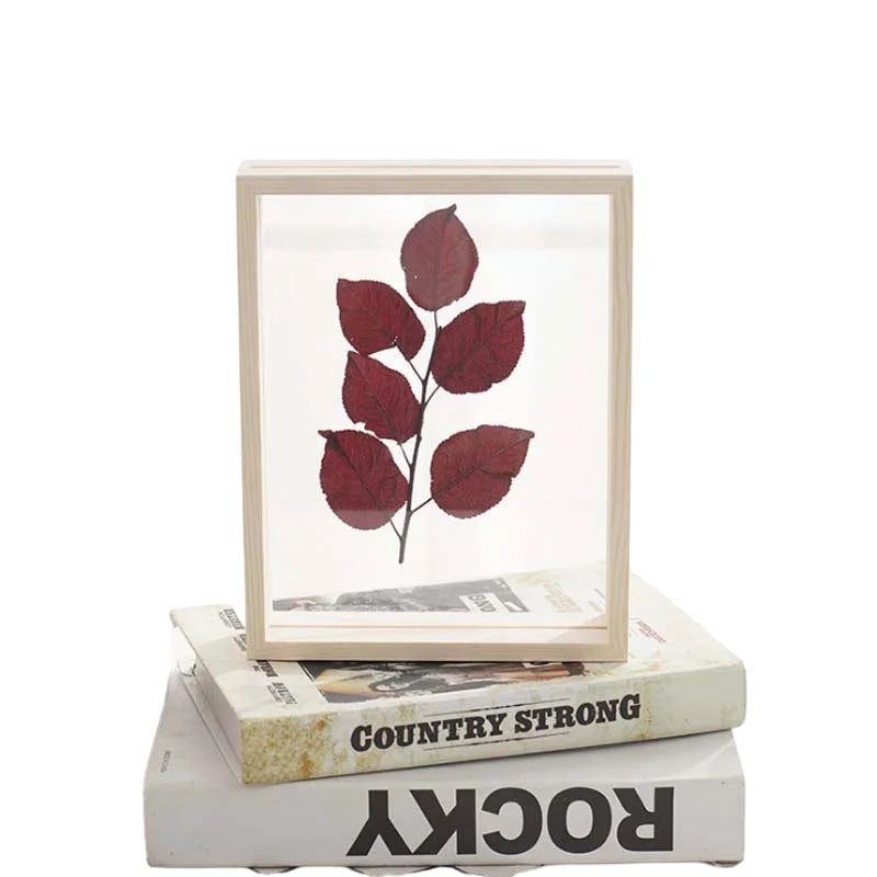 Natural Wall Art 3d Shadow Box Frame 12x16 Inches Specimen Box Frame